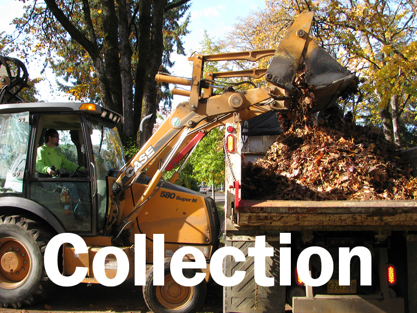 Cubic yards of leaves collected to-date this season