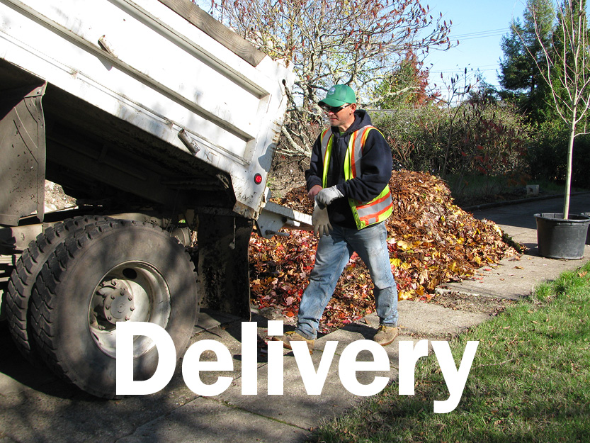 Cubic yards of leaves delivered to-date this season
